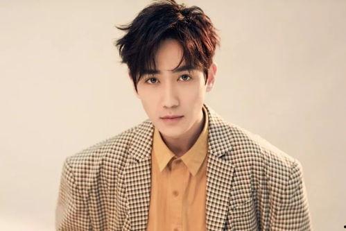 狗仔爆料马姓艺人视频大全,狗仔爆料背后的真相揭秘